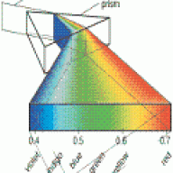 Illuminatus