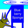 Blueberry Sponge