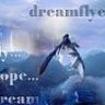 DreamFlyer