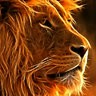 YHWH's Lion