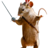 NobleMouse