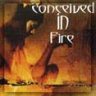 conceived in fire