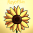 RayofSun