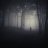 NightDream