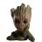 Groot