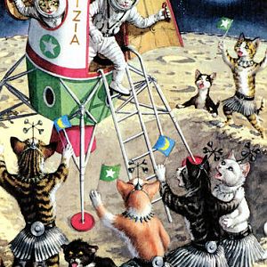 Cats on the moon