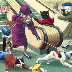 Cats shopping