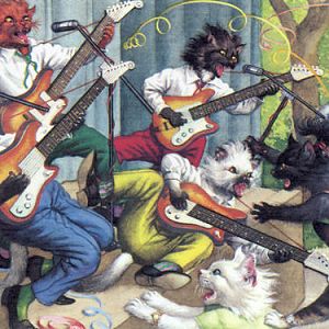 Rock and roll cats