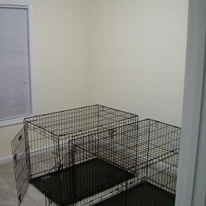 Our dog's room
