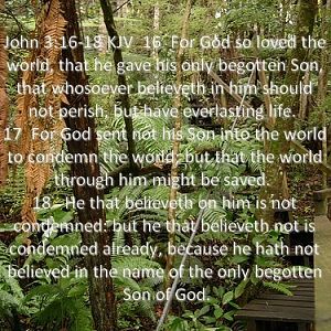 John 3:16-18