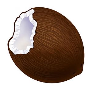 coconut