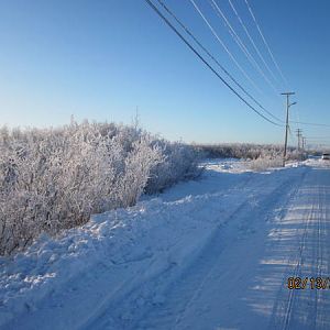 I love the frost on the willows.  I thank the Lord for winter.