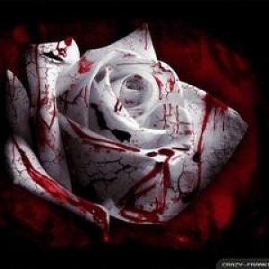 gothic bloody rose wallpapers 1024x768 (Mobile)