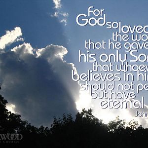 john 3 16 Bible Verse