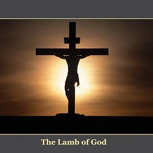 Lamb of God