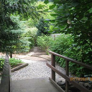 bridge into garden