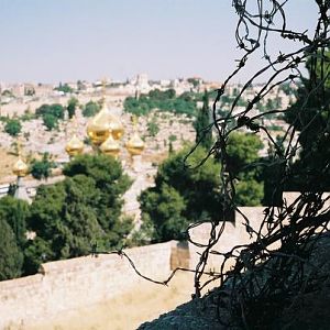 Jerusalem/Zion, the apple of God's eye and a stumbling block to the nations and man's barb wire.