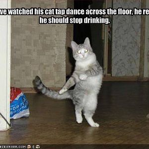 Tap Cat