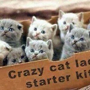 Crazy Cat Lady