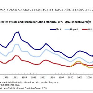 Labor Force Characteristics by Race and Ethnicity 2012