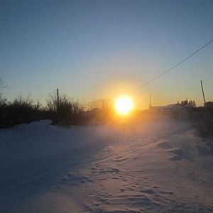 Sunrise on the avenue..... remember the song? well this is really a short cut that looks all grown over and messy in the summer but I like it just the same