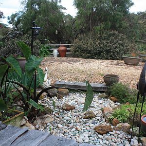 Our dry bed pond