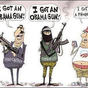 Obama Guns