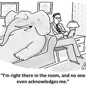 Elephant In Room