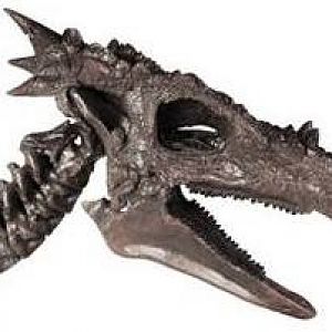 Dracorex 1 (Dragon like skeleton)