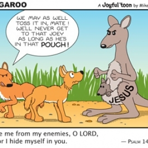 Kangaroo Comic