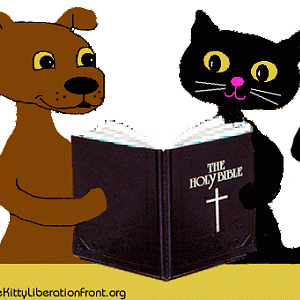 Dog And Cat Reading The Bible