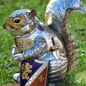 Squirrel Armor 001