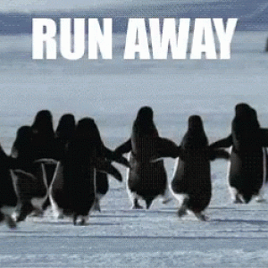 Run Away