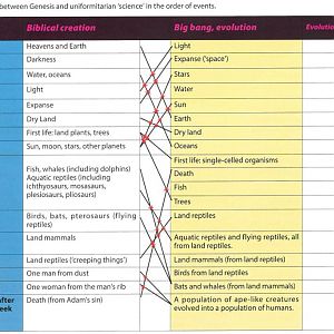 Evolution And Creation Chart