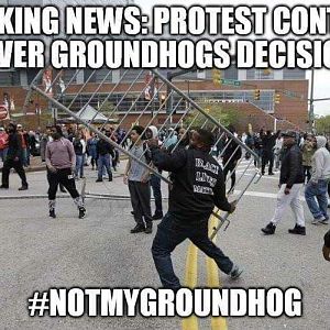Not My Groundhog!