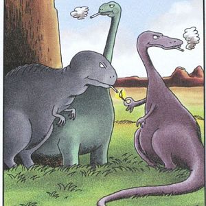 Dino Extinction, Real Reason