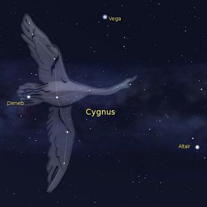 Cygnus-Northern-Cross-