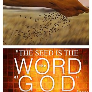 The Seed is the Word Of God (the Bible) (Luke 8:11)