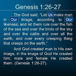 Genesis 1-26-27