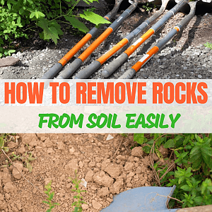 Remove-rocks-soil