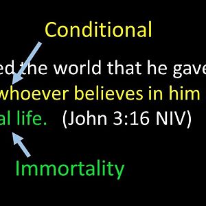 Conditional Immortality 1