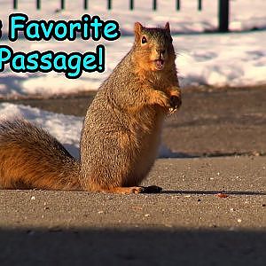 David's Favorite Bible Passage & Some Furry Friends!
