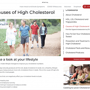 Causes of High Cholesterole - 1