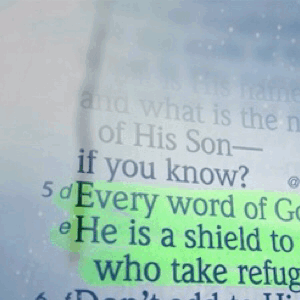 Every Word of God is pure