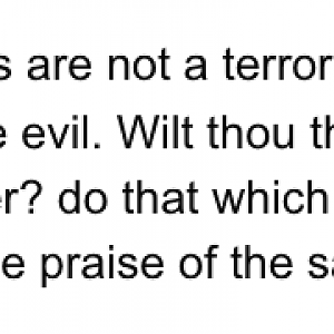 Rulers are not a terror to good works