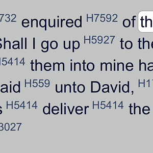 2 Sam. 5:19 - Yᵊhōvâ