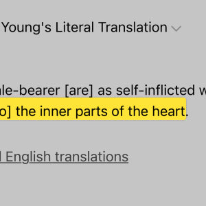 Proverbs 18:8 in Young’s Literal Translation