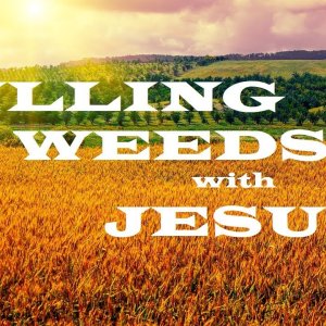 Would You Like to Know More About Jesus?  008  Pulling Weeds with Jesus – The Awesomeness of God