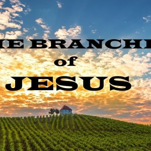 The Branches of Jesus – Moving Closer to Jesus – Christian Devotional