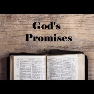 God’s Promises – Revealing Essential Scripture – Christian Devotional